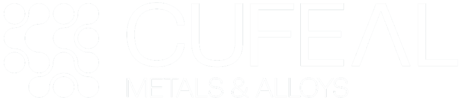 Logo Footer