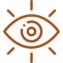 Our Vision Icon